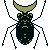 [DWIM]